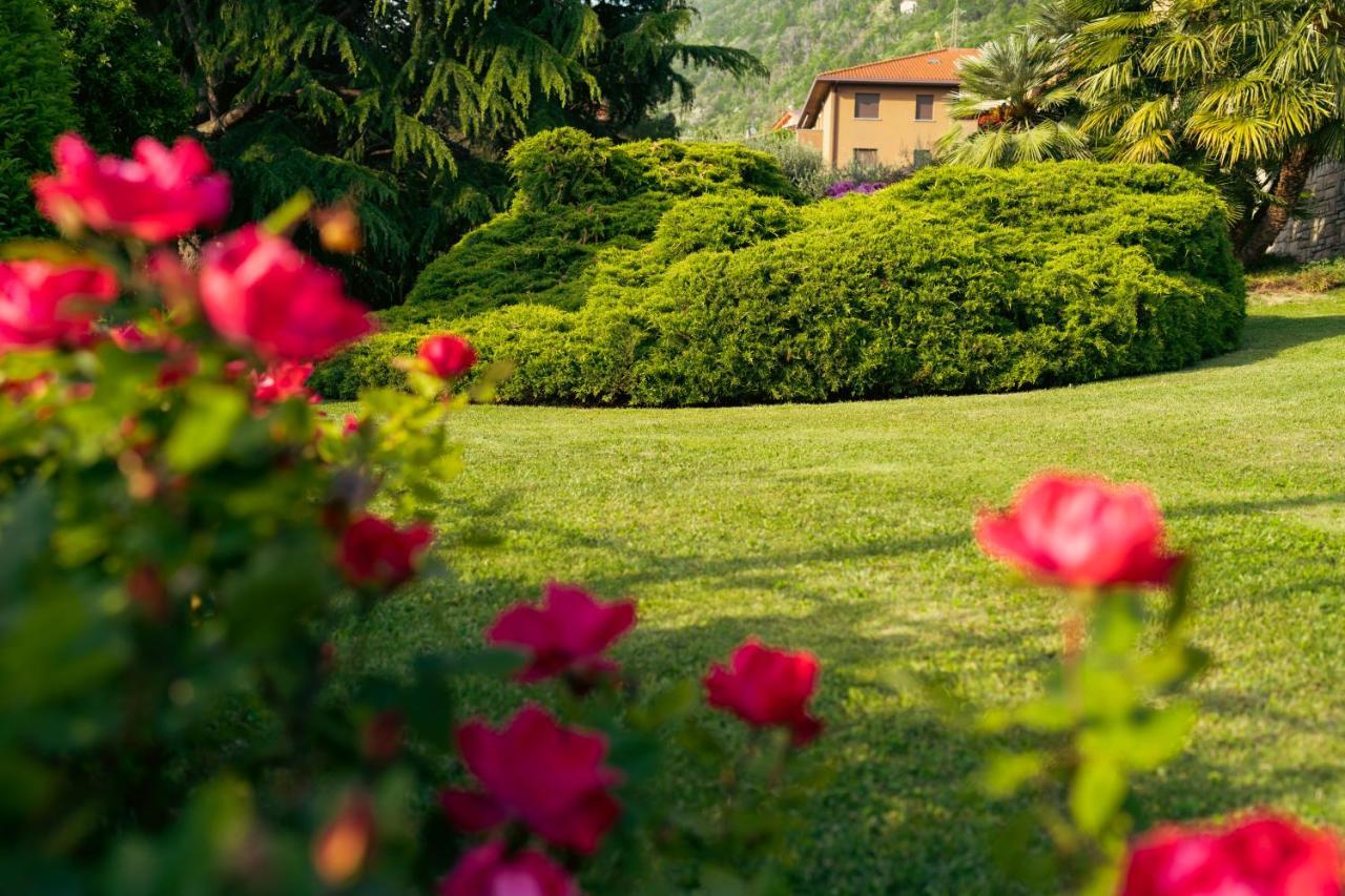 Villa Дервио Экстерьер фото